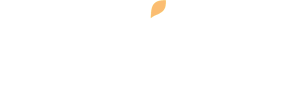 Wix logo